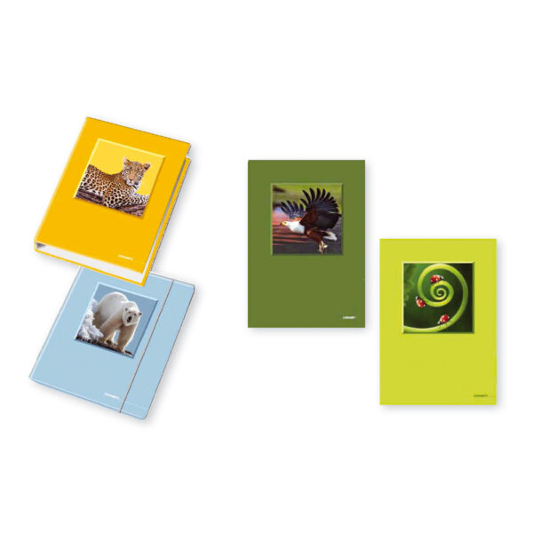 Класьор 4 ринга Animali А4,  -  3.5 см.