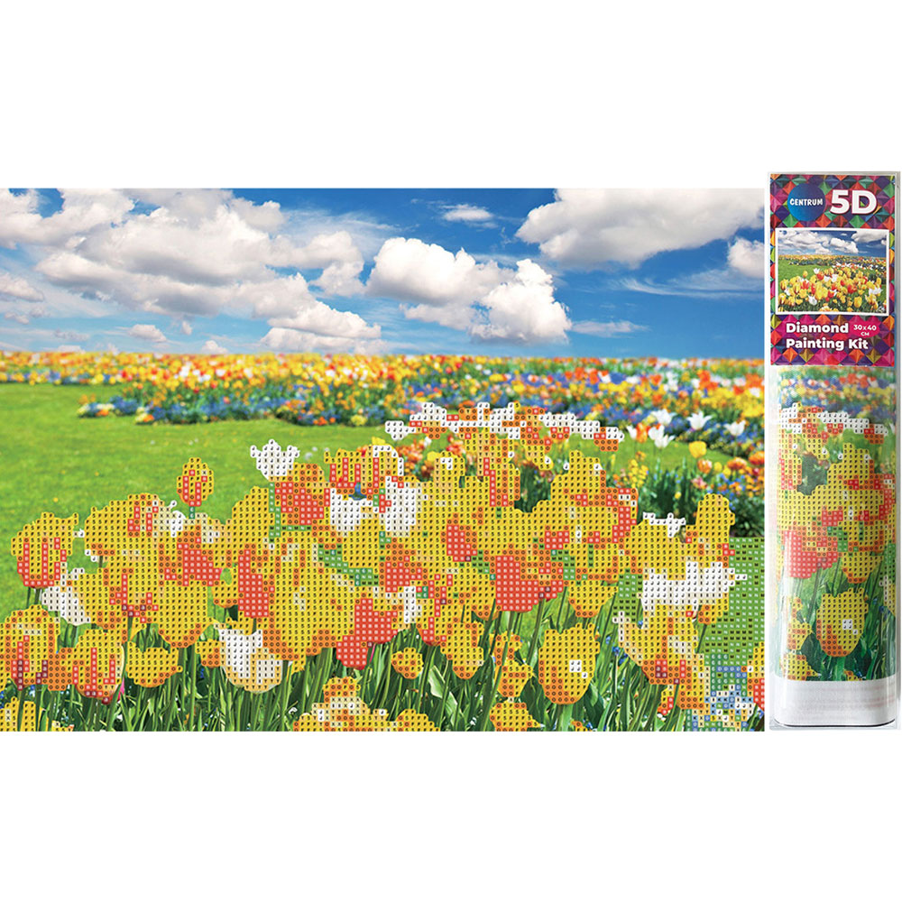 Диамантена мозайка 5D Diamond 30/40см CENTRUM – Лалета